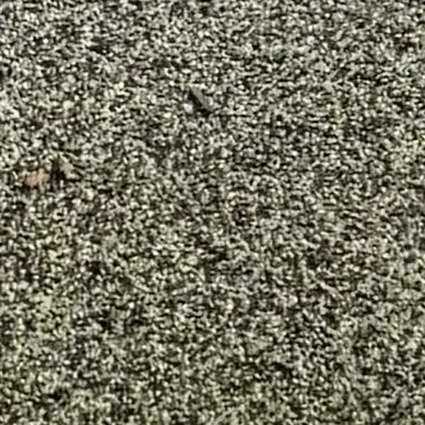 Profile image of 투명인간