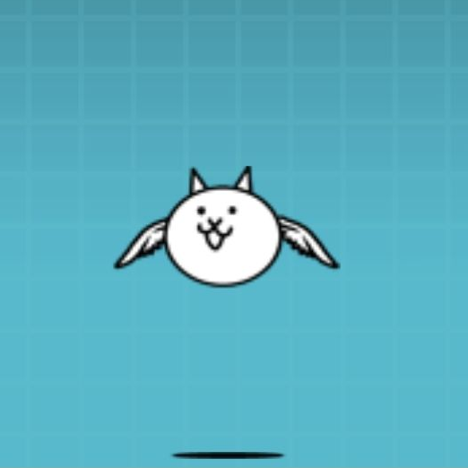 고양이 새 대표 이미지