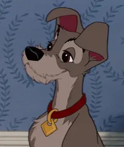 Profile image of Tramp