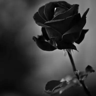 Profile image of 각별