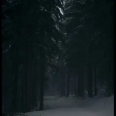 Profile image of World of Game of Thrones