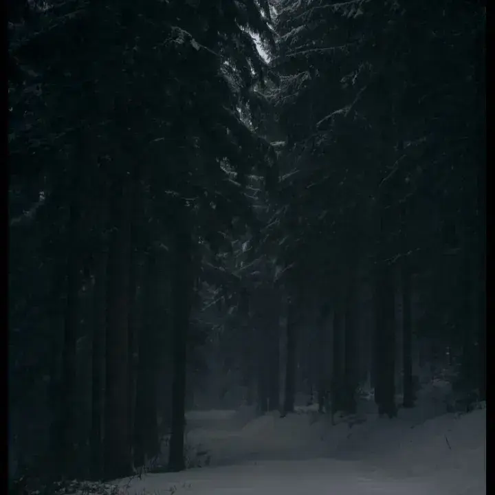 ModestTie2376의 World of Game of Thrones