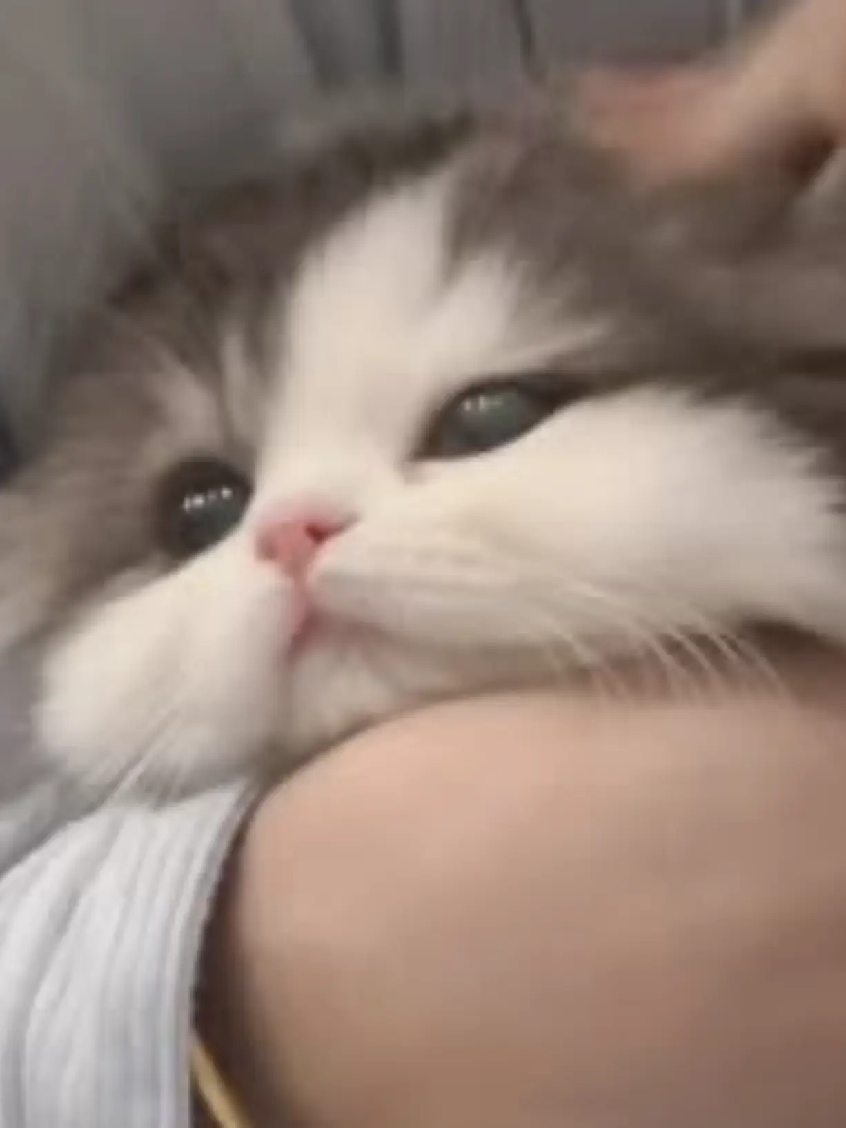 tolom1_xoxo의 えー笑