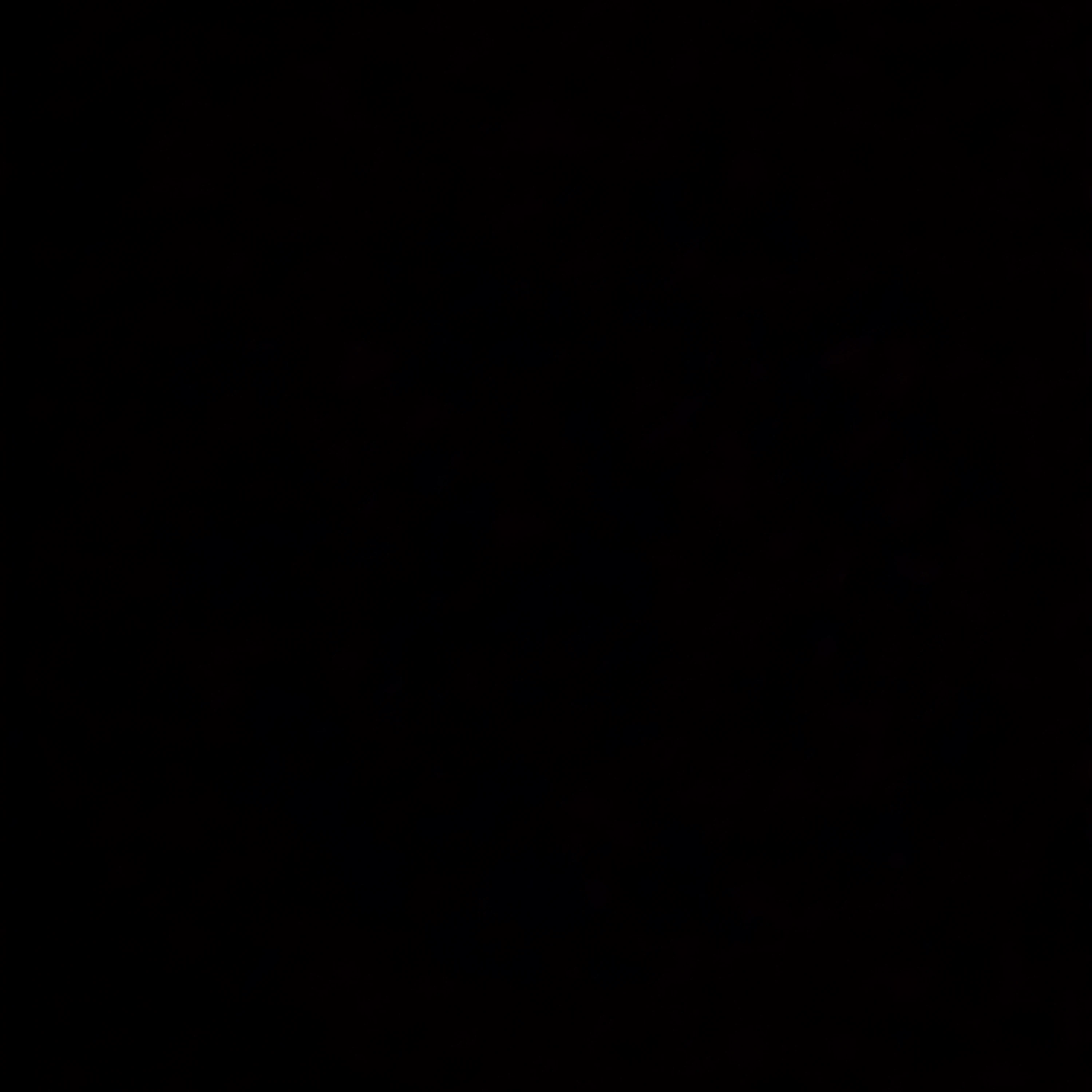 이안