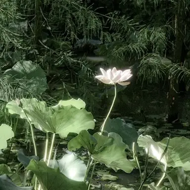 Profile image of 정형준