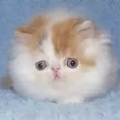 Profile image of Farmer Henderson