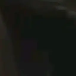 Profile image of 공룡 경장