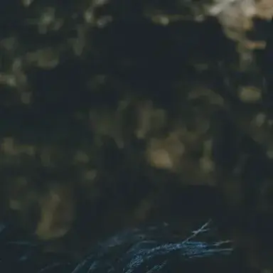 Profile image of 잠뜰 경위