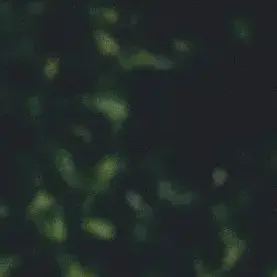 Profile image of 수현 경위