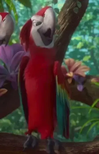 Profile image of Rafael