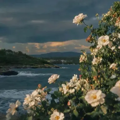 Profile image of 픽셀리