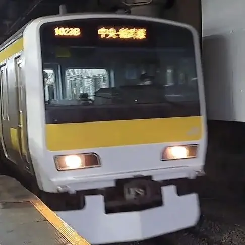 PorousMink2248의 新宿駅