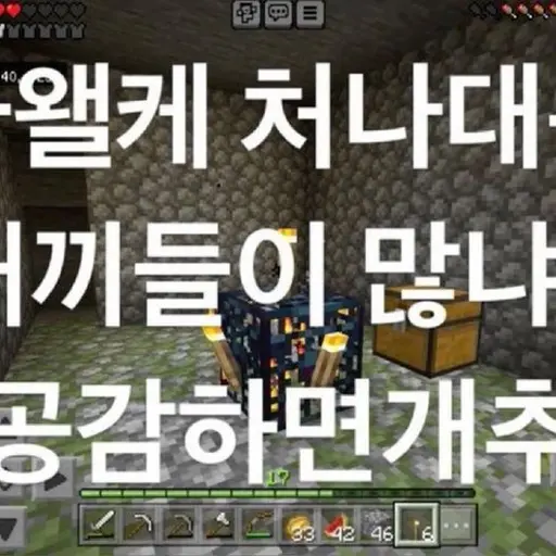Www__의 .