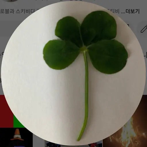 WryKnee6506의 한머
