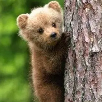 Kkakkungi의 이동혁