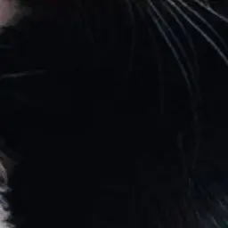 Profile image of 現魔王