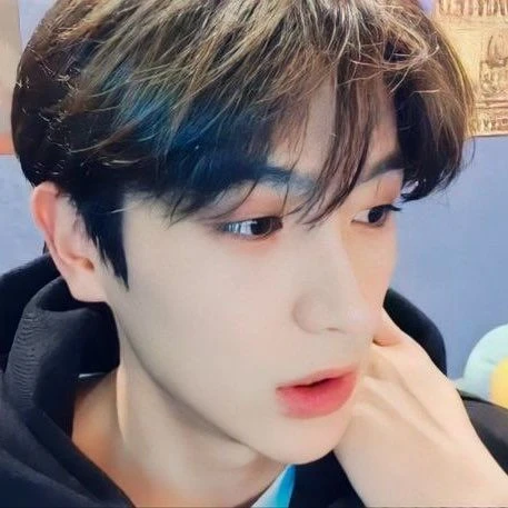 애기