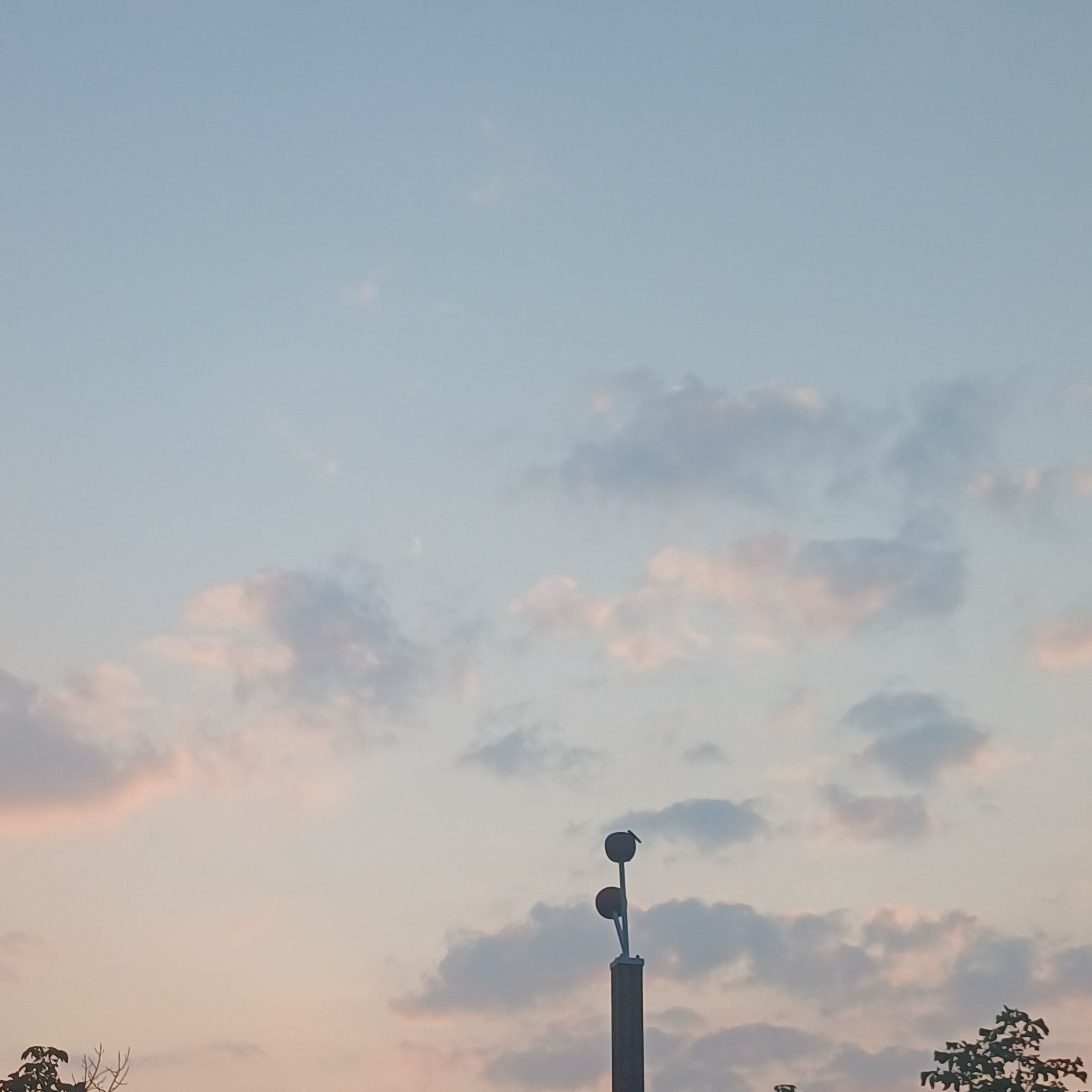 미수반-야,이 여우 새 ㄲ— 대표 이미지