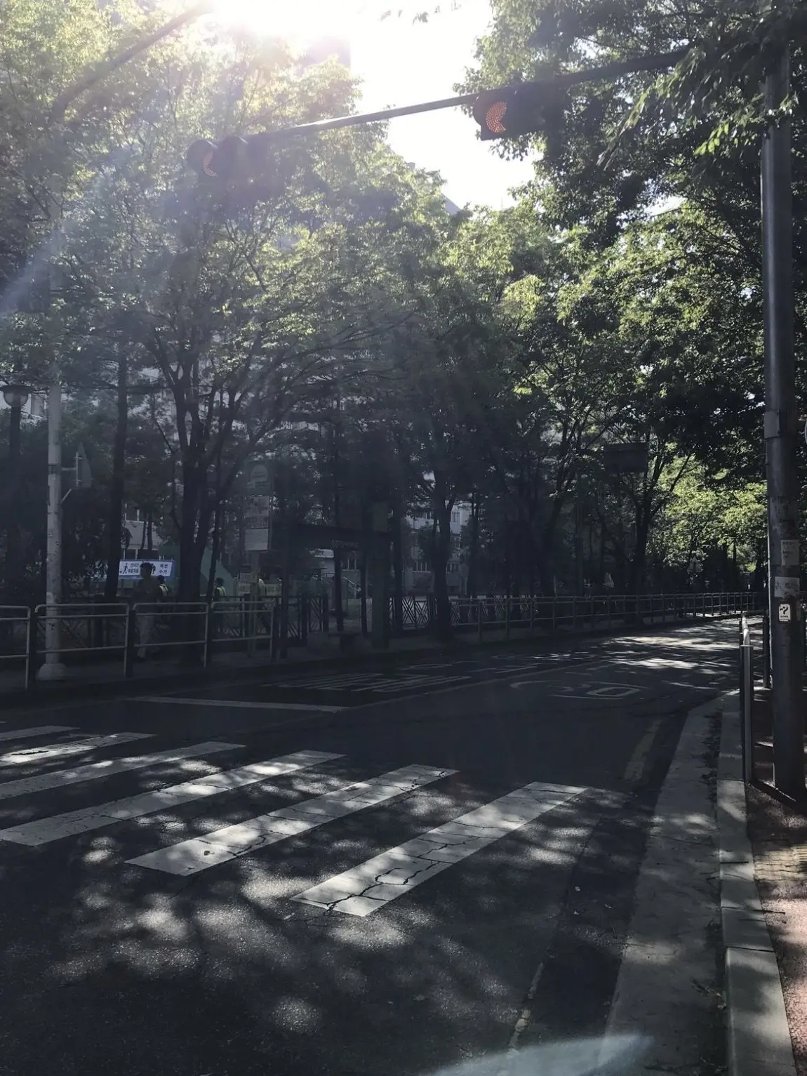 core.35의 貴方を見つめていたら