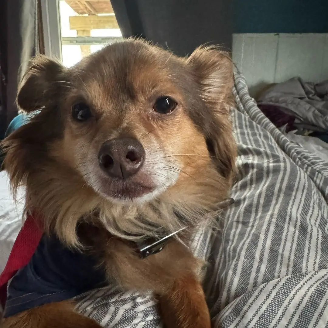 SinfulShop1147의 Quiet Morning Routine