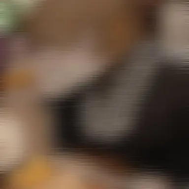 Profile image of 風楽奏斗