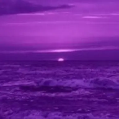 Profile image of 수현