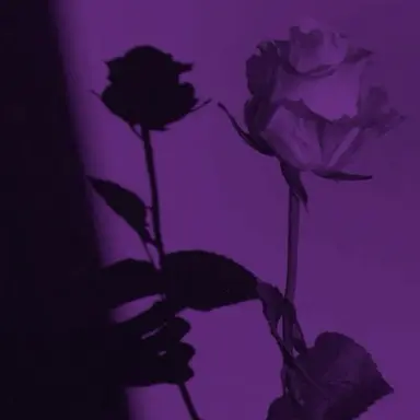 Profile image of Soohyun
