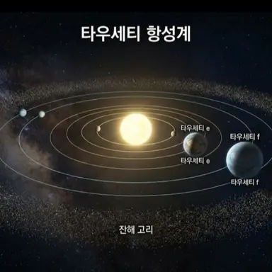 Profile image of 스프런키들