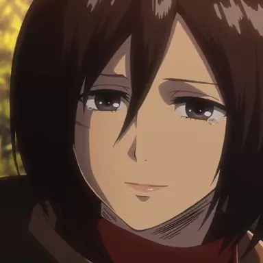 Profile image of ミカサ