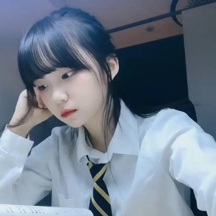 SnowyArrow6942의 진자림