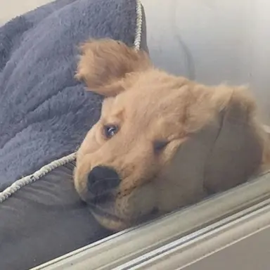 Profile image of 김승민