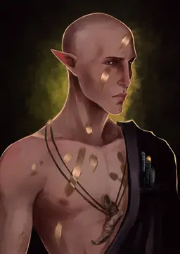 Profile image of Solas