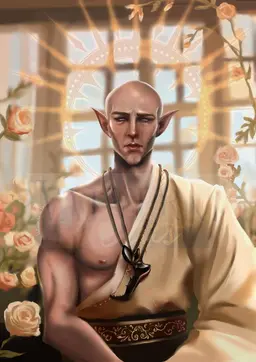 Profile image of Solas