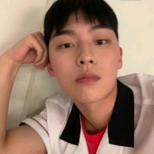 안수호