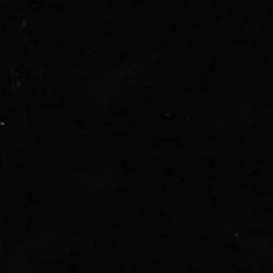 Profile image of 鈴木部長