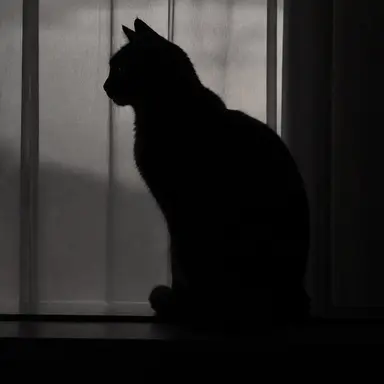 Profile image of チソン