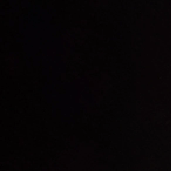 양정인
