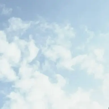 Profile image of 최여름
