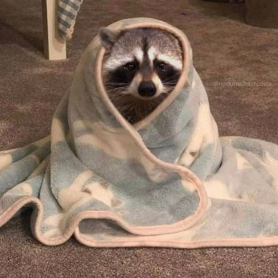 장하오