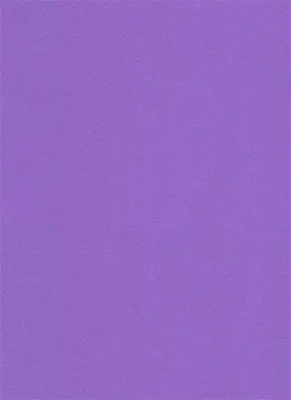 Profile image of 紫苑 もふ