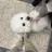 에스파와 아이브