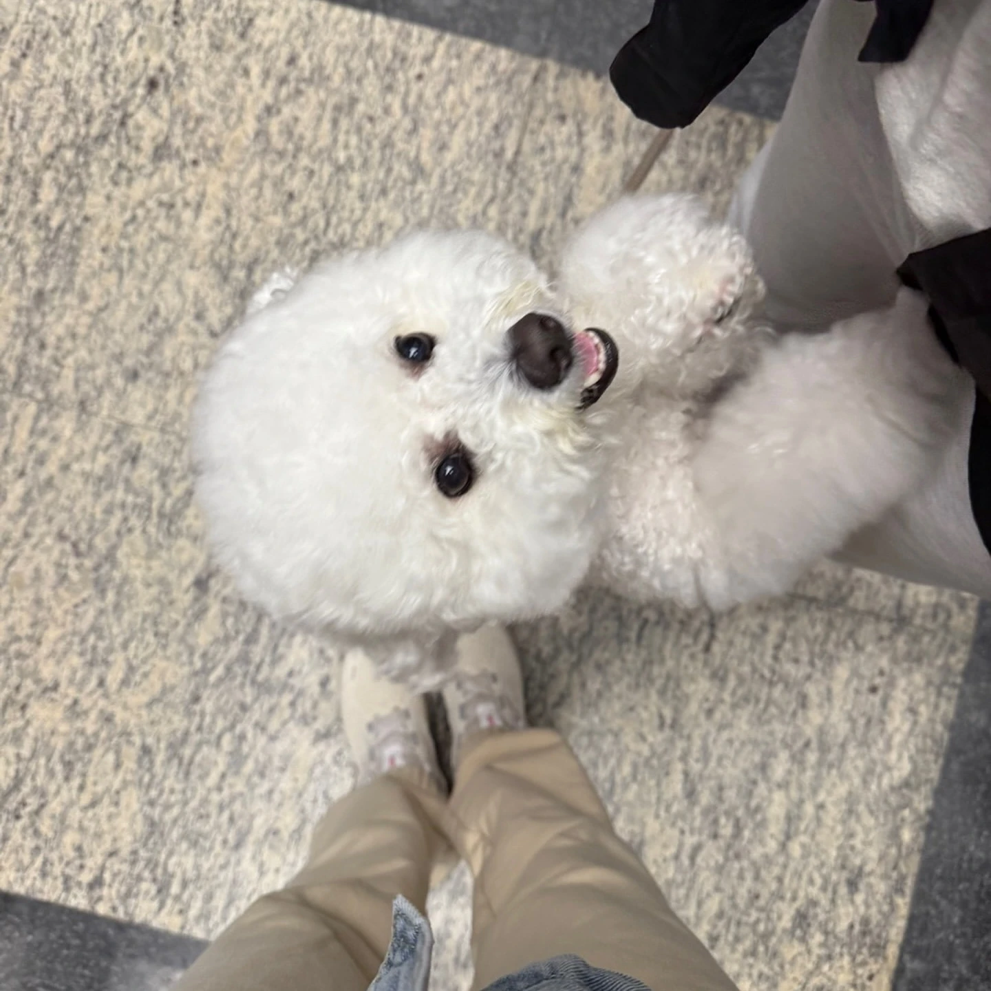 에스파와 아이브