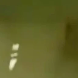 13명의 친구들