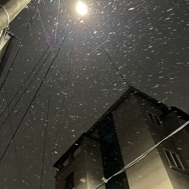 Profile image of 최승철