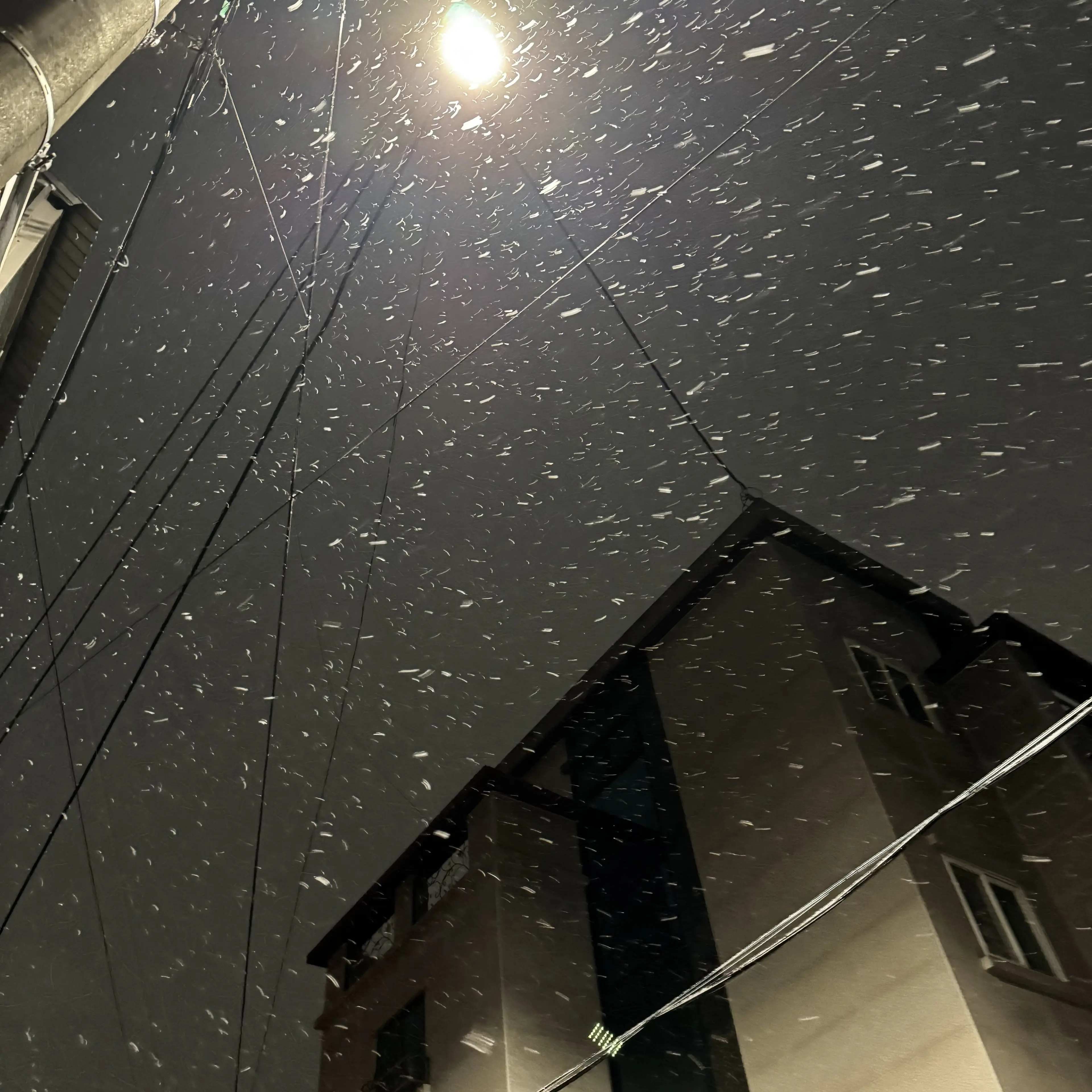 Kitty_Rin의 화재경보기 울리자마자 나부터챙기는쌤