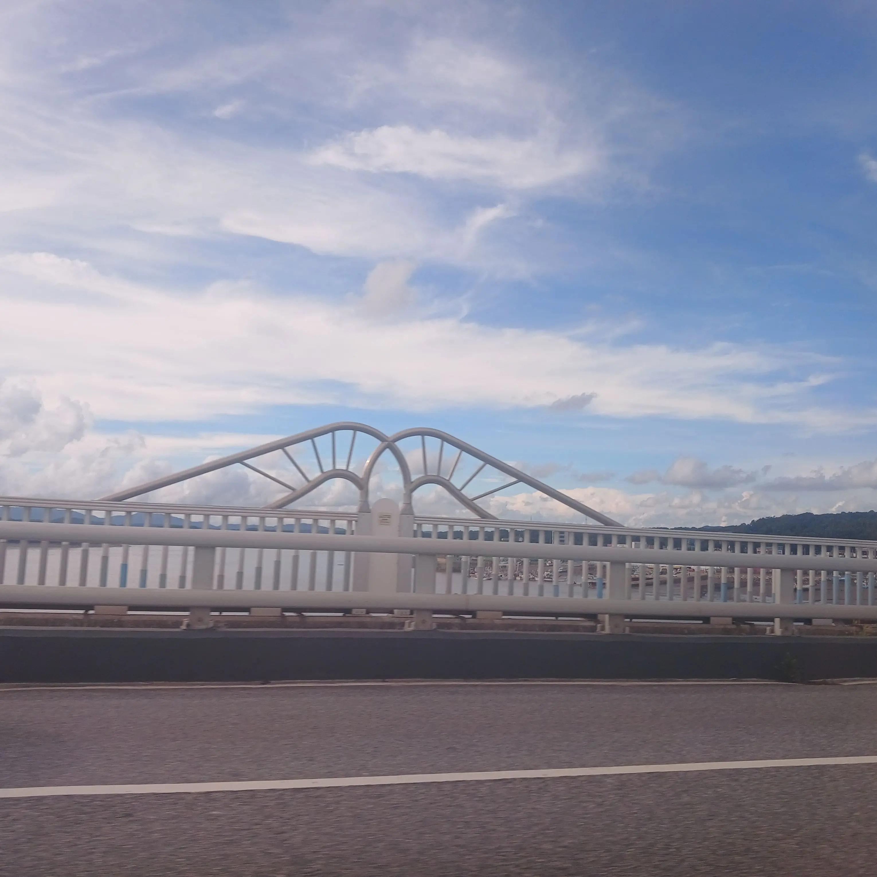 svt.scops의 타투이스트 C