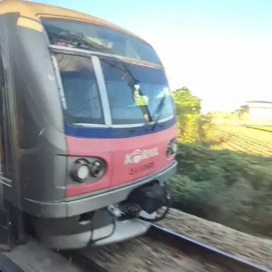 Profile image of 동글이