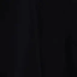 pa.____ru의 오시온