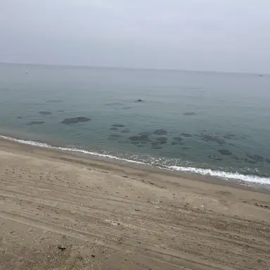 Profile image of ㅂㅅㅎ