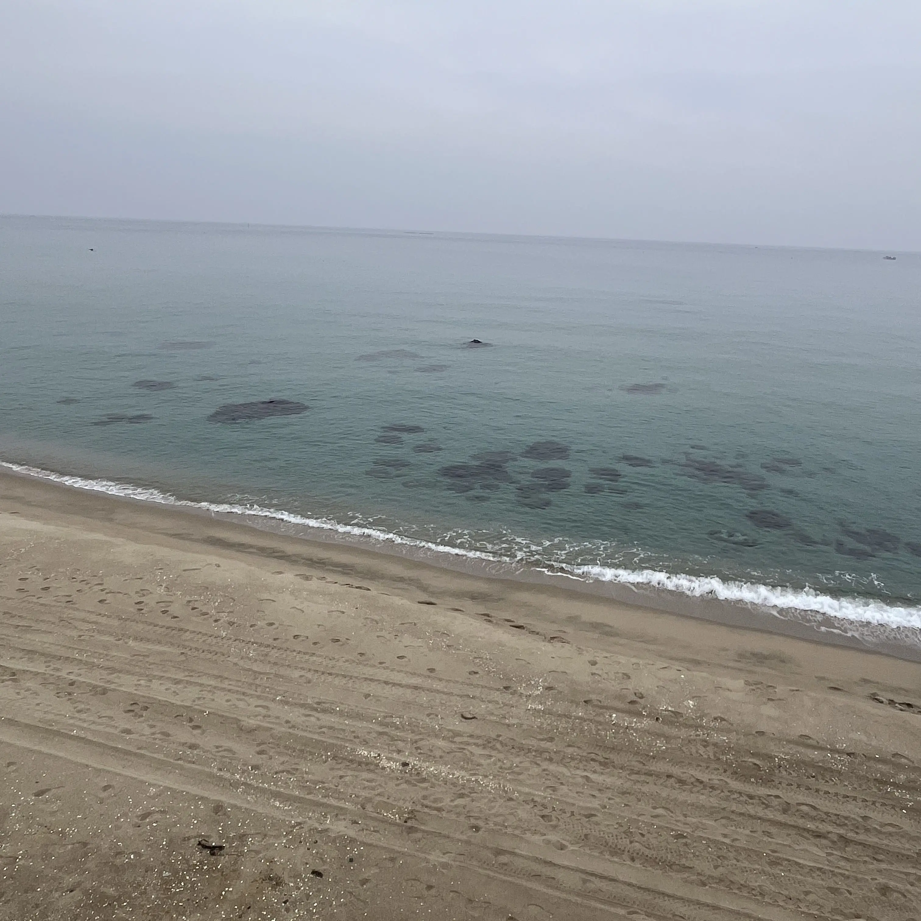 FirmStraw7552의 엄한오빠덜